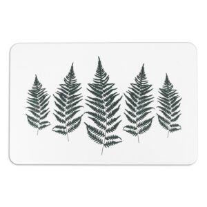 BATHW FERN 1