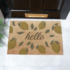 6040 HELLOLEMONS 1.jpg
